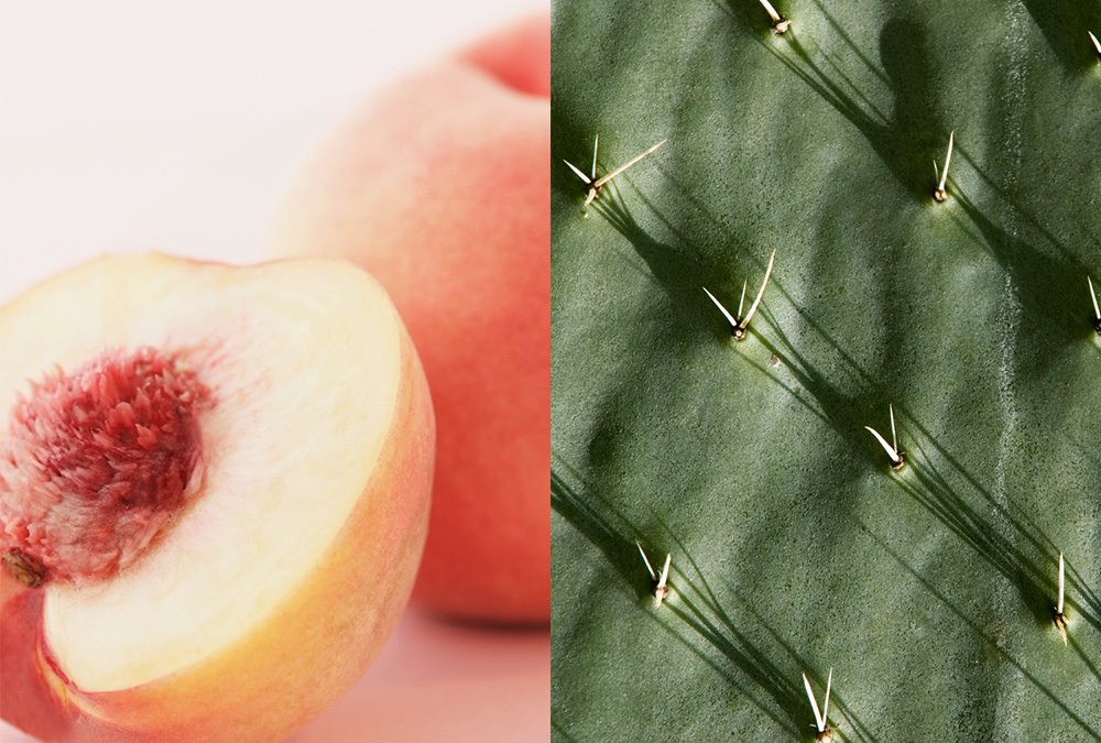 The Ultimate Comparison of Brazilian vs Bikini Wax for First-Timers